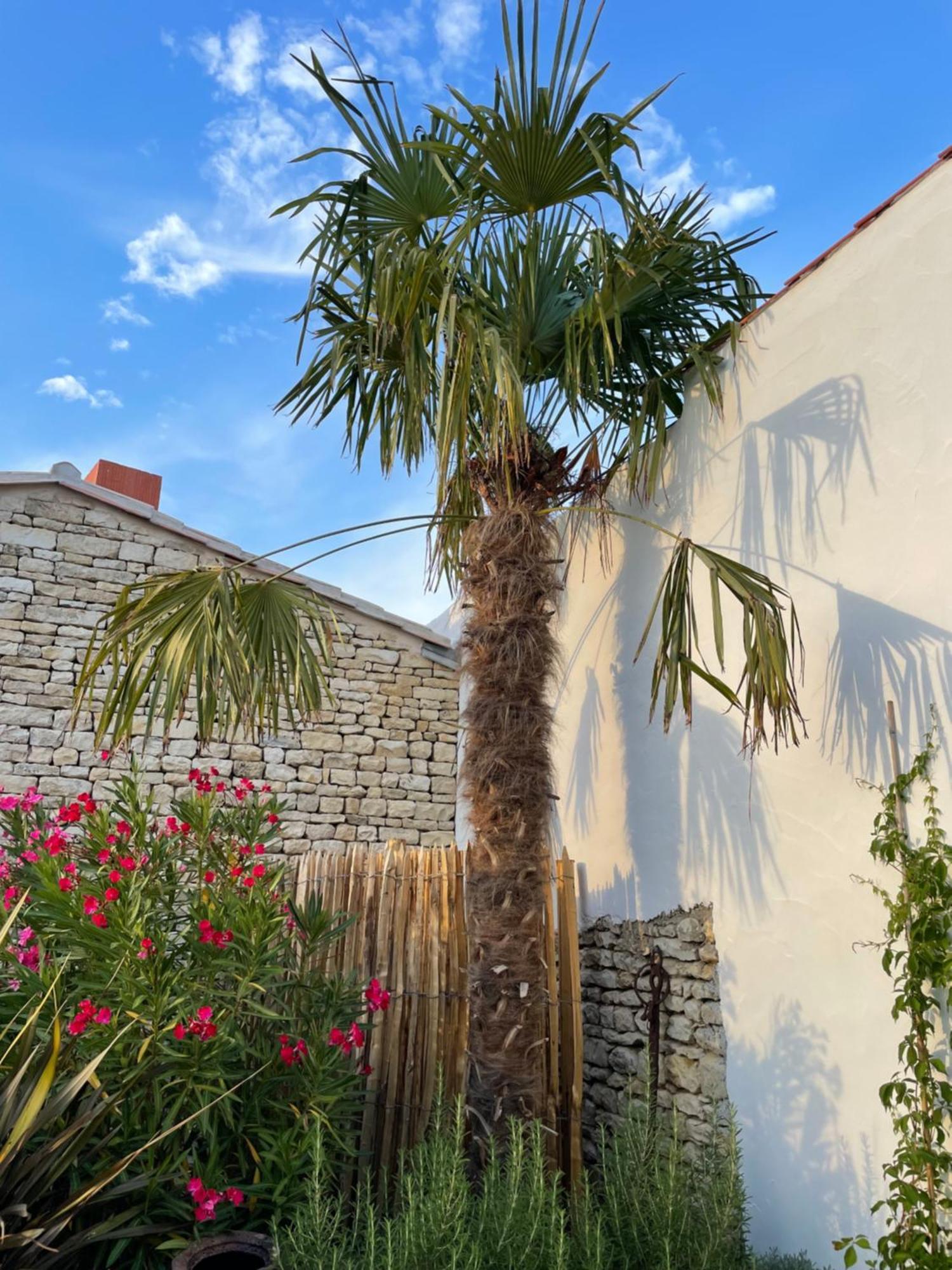 Maisons 322 - Maison La Flamboyante Le Bois-Plage-en-Ré Zewnętrze zdjęcie